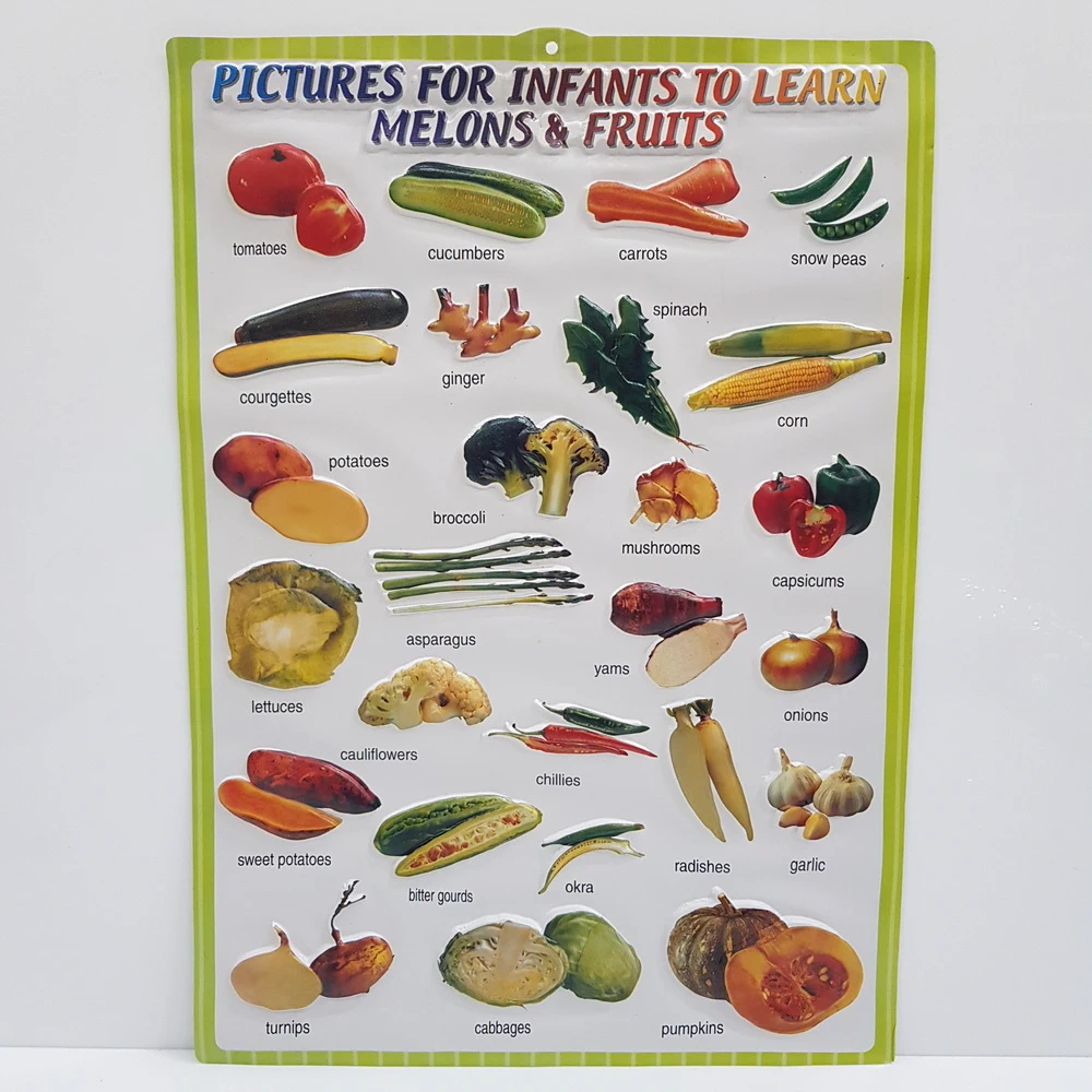 สื่อการสอน ผลไม้ ทึบ