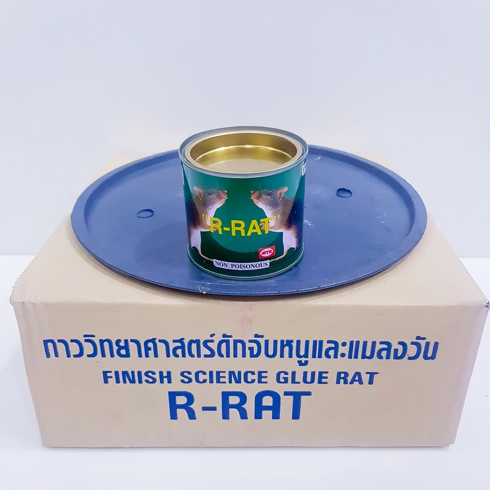 R-RAT กาวดักหนูพร้อมถาด