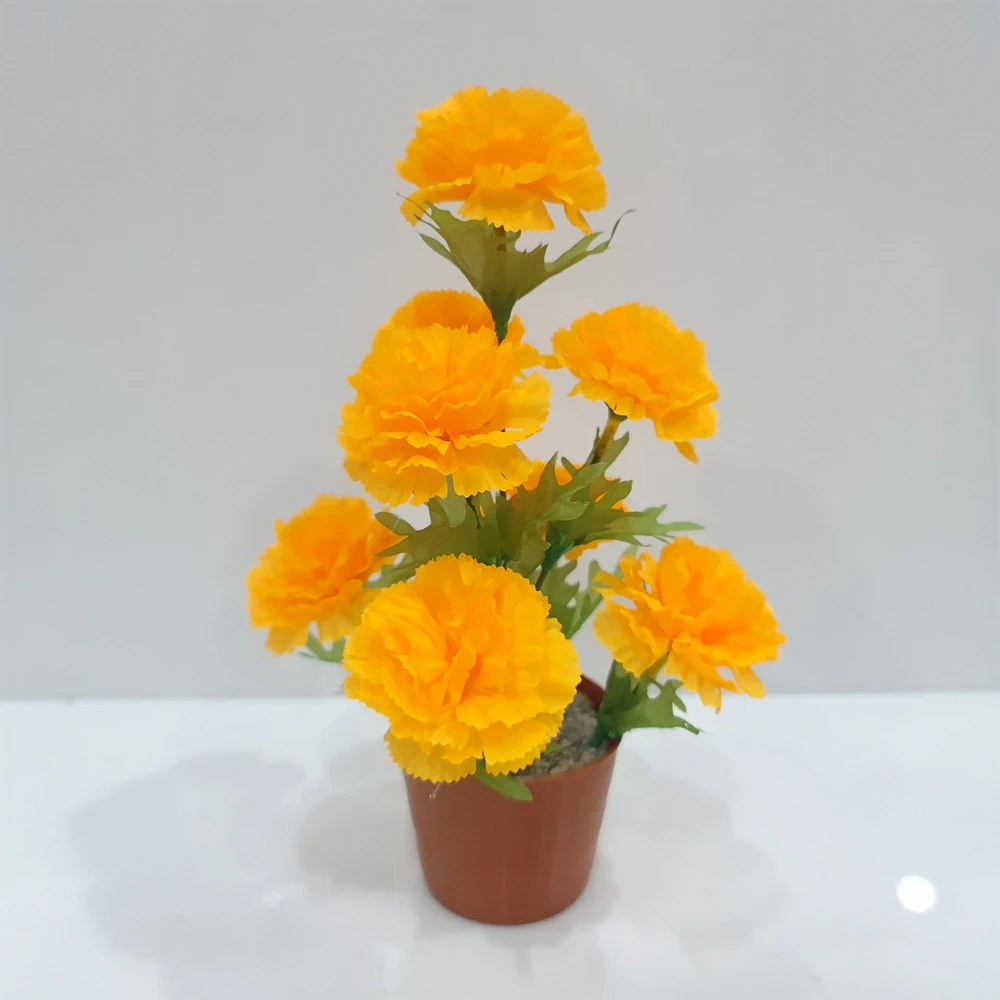 กระถางดอกดาวเรือง 8 ดอก