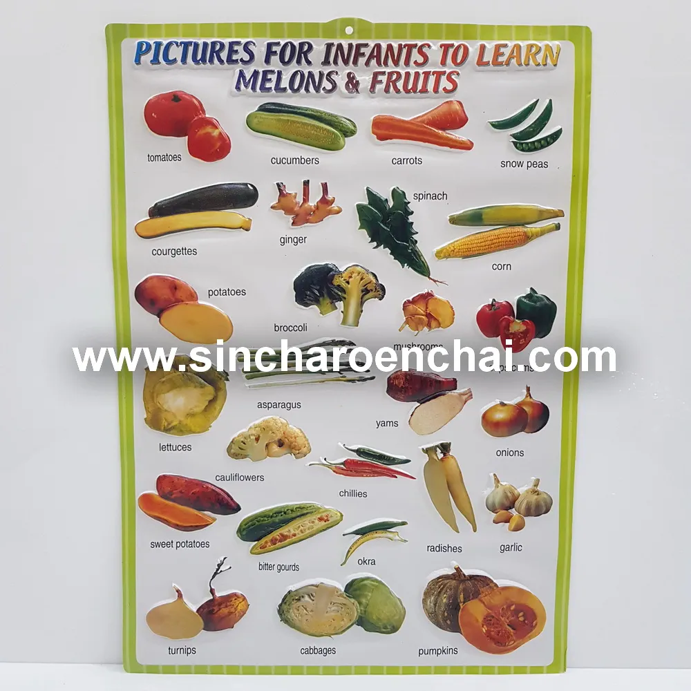 สื่อการสอน ผลไม้ ทึบ