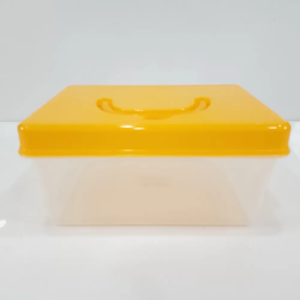 425 กล่องหูหิ้ว 3 ลิตร BIGONE (6 โหลๆ ละ 185)