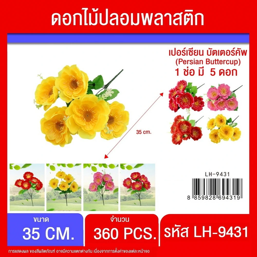 9431 ดอกเปอร์เซียน บัตเตอร์คัพ